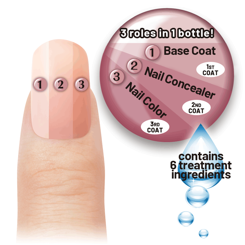 Nail Base & Top Coat – Ducato USA ~Total self-care for nails~